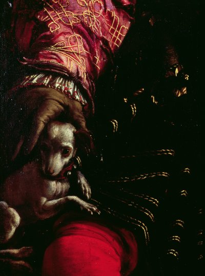 Dog from a Painting of an Unknown Man (detail) by Nicolo dell Abate